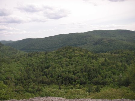 Overlook, Jamaica St Pk, 30May08